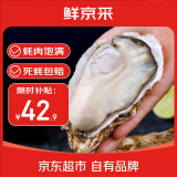 鲜京采【活鲜】生蚝净重5斤 4XL 10-13只装 源头直发 露营烧烤
