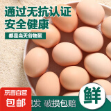 无抗鲜鸡蛋 谷物喂养鲜鸡蛋 单枚50g-60g 早餐食材 蛋香味十足 10枚装
