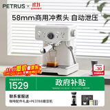 柏翠(petrus) 咖啡机意式浓缩家用小型半自动蒸汽打奶泡 海盐小方PE3833+PE3788
