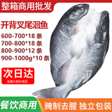 火欢王叉尾鮰鱼 三去开背腌制调味半成品烤鱼纸包鱼 冷冻商品批发 600-700克18条/箱