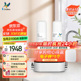 道尔顿（Doulton）净水器家用直饮 厨房自来水龙头过滤器矽藻陶瓷净水机无废水可清洗超滤饮水机 D-CP203
