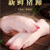 猪前蹄大猪蹄带筋猪蹄子冷冻新鲜猪脚猪手猪爪家用猪手整只生鲜 【大猪前蹄】1斤/只 10只装*带筋大号猪前蹄
