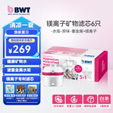 倍世（BWT） 第4代镁离子活力款滤芯 德国技术欧洲原装进口 过滤净水器家用滤水壶净水杯净水壶用 【镁离子】6只装
