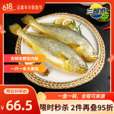 三都港冷冻三去大黄鱼净重2斤/2条装 宁德黄花鱼 生鲜鱼类 端午节