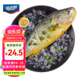 海名威 冷冻宁德黄花鱼600g/条 大黄鱼 深海鱼 生鲜鱼类 海鲜水产 