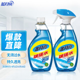 蓝月亮家用玻璃清洁剂擦窗户镜子浴室汽车玻璃水500g+500g 