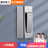 国际电工床头开关家用手捏明装按钮单控小开关电台灯船型开关按钮 灰色单控开关