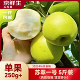 京鲜生 苏翠一号 净重5斤 单果250g+ 新鲜水果 源头直发包邮