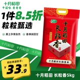 十月稻田  【2024年新米】长粒香大米5kg 东北大米10斤