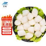 灵略 鲜冻扇贝柱 净重1.8斤瑶柱 大号 带子80-160粒生鲜贝类海鲜烧烤