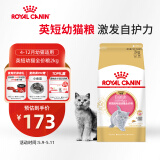 皇家猫粮 英短幼猫粮 BSK38 通用粮 4-12月 2KG