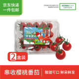 京鲜生＆知翠 串收樱桃番茄450g*2盒 新鲜圣女果 自然成熟 源头直发