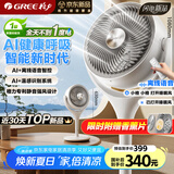 格力（GREE）【织风者AI+】一级能效直流变频轻音空气循环扇家用语音遥控电风扇香薰双重净化抑菌落地扇