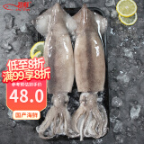 初鲜鲜冻大鱿鱼(2条)净重1.2-1.3斤 铁板鱿鱼 火锅烧烤食材 海鲜送礼