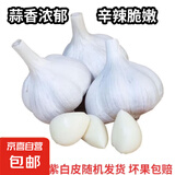 京喜自营大蒜头紫白皮大蒜京东买菜生鲜调料即食凉拌大蒜 【实惠】 5斤 单果3.5-5cm