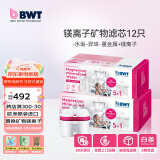 倍世（BWT） 第4代镁离子活力款滤芯 德国技术欧洲原装进口 过滤净水器家用滤水壶净水杯净水壶用 【镁离子】12只装