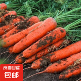 九寸三红胡萝卜种子水果蔬菜萝卜菜籽脆甜春秋季四季田园蔬菜种子 九寸参胡萝卜种子 1包约300粒
