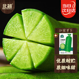 北蔬 沙窝水果萝卜种子种苗夏秋季青罗卜蔬菜种籽 沙窝萝卜种子10g