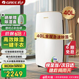 格力（GREE）除湿机家用抽湿机客厅地下室整屋除潮防霉除湿器40升/天单间72㎡ 智能控湿可干衣干燥器DH40EH