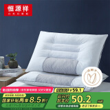 恒源祥枕头决明子抗菌颈椎枕单人睡觉硬枕头枕头芯整头一只装48*74cm