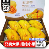 捌零鲜生物语（顺丰JD）正宗金煌芒果新鲜水果 特大果芒果 青皮芒果水果礼盒 9斤特大果礼盒装（甄选）