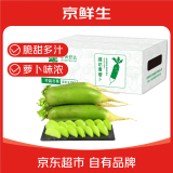 京鲜生家美舒达 山东 潍坊萝卜 甜脆水果萝卜 绿青萝卜 5斤 新鲜蔬菜