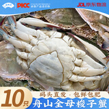 【冷冻】昌鲜园舟山全母梭子蟹鲜活冷冻3-4两/只 10只 25年新蟹源头直发包邮