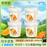 琴牌新希望活润酸奶 轻食杯大果粒益生菌风味发酵乳生牛乳发酵 340g 阳光橙混合果蔬*4桶