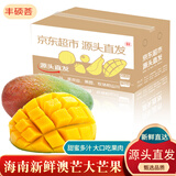 京地达海南现摘青皮澳芒净重8斤装约4-6个甜心芒果新鲜水果源头直发包邮
