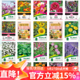 花沃里20款花种子套餐 花卉种子组合太阳花凤仙花向日葵四季种野花