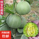 绿宝石甜瓜种子薄皮超甜香瓜种子春季绿皮四季脆瓜早熟高产香瓜籽 绿宝石甜瓜种子/包约100粒 5包