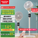 澳柯玛（AUCMA）【上下左右全自动巡航摇头】空气循环扇家用落地扇台式柔风遥控电风扇轻音节能桌面小风扇Z303(Y)