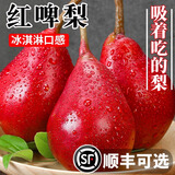 红啤梨当季新鲜水果红皮梨子彩虹香软糯梨太婆红宝石酥甜梨整箱 3斤（精品果）