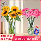 悦多彩优质水养鲜切花 母亲节三八节花束 昆明基地现采直发顺丰生活鲜花 向日葵5支+康乃馨10支