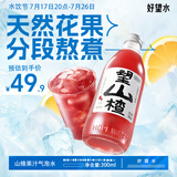 好望水望山楂山楂汁气泡水健康熬煮果汁0脂肪300ml*6瓶