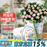 德沃多肥料凤仙花种子DIY儿童趣味种植盆栽套装植物观察杯杯六一儿童节
