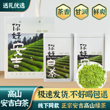 源聞白茶2025年新茶茶叶 安吉白茶原产地新茶绿茶礼盒装明前特级白茶 明前新茶优雅简装100克*2罐