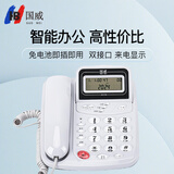 国威（GUO WEI）电话机座机 固定电话 商务办公家用 免电池双接口来电显示内部对讲铃声音量调节GW17B（白）