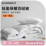 拉芙菲尔五星级酒店母婴A类抗菌51%白鸭绒国产羽绒被春秋被3.8斤220*240CM