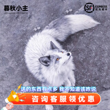 暮秋小主网红家养狐狸活体幼崽雪狐白狐白化熊猫狐冰岛狐宠物狐狸活物幼宠 暗夜蓝狐