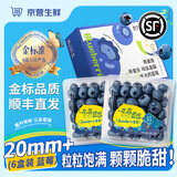 四叔公果蔬云南L25花香蓝莓【顺丰空运-次日达多地】新鲜蓝莓水果送礼盒装 【金标】特级果（单果15-18mm） 4盒装（实惠尝鲜）100-125g/盒