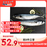 禧美海产 冷冻挪威青花鱼净重2斤/袋 整条2-3条 原条 烧烤食材  海鲜水产