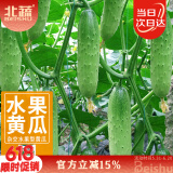 北蔬 水果黄瓜种子苗青瓜春盆栽菜籽 卓脆潍胖二号水果黄瓜种子100粒