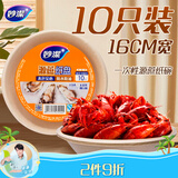 妙洁一次性盘子 圆形纸盘碟餐具厨房用品碗 16cm10只装