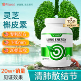 Vinsic槲皮素胶囊清肺结节消除磨玻璃结节特效肺部保健品养肺美国进口 10瓶稳固装【买7送3 肺常健康】