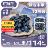 京鲜生 国产蓝莓 12盒14mm+装 125g/盒 生鲜水果 源头直发 包邮