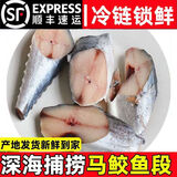 鲜拔头筹马鲛鱼切片 青岛大鲅鱼中段尾段整条去头去尾深海鱼类海鲜 中尾段4斤（净重）6段/斤