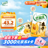伊利优酸乳如意杏子味250ml*24盒 酸甜牛奶饮品 礼盒装