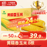 十月稻田 黄糯香玉米 3.52斤(220g*8根) 东北黏甜玉米棒 早餐 杂粮礼盒