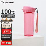 特百惠（Tupperware）茶韵500ML塑料杯 男女学生夏季水杯子大容量便携办公用 柔蜜粉